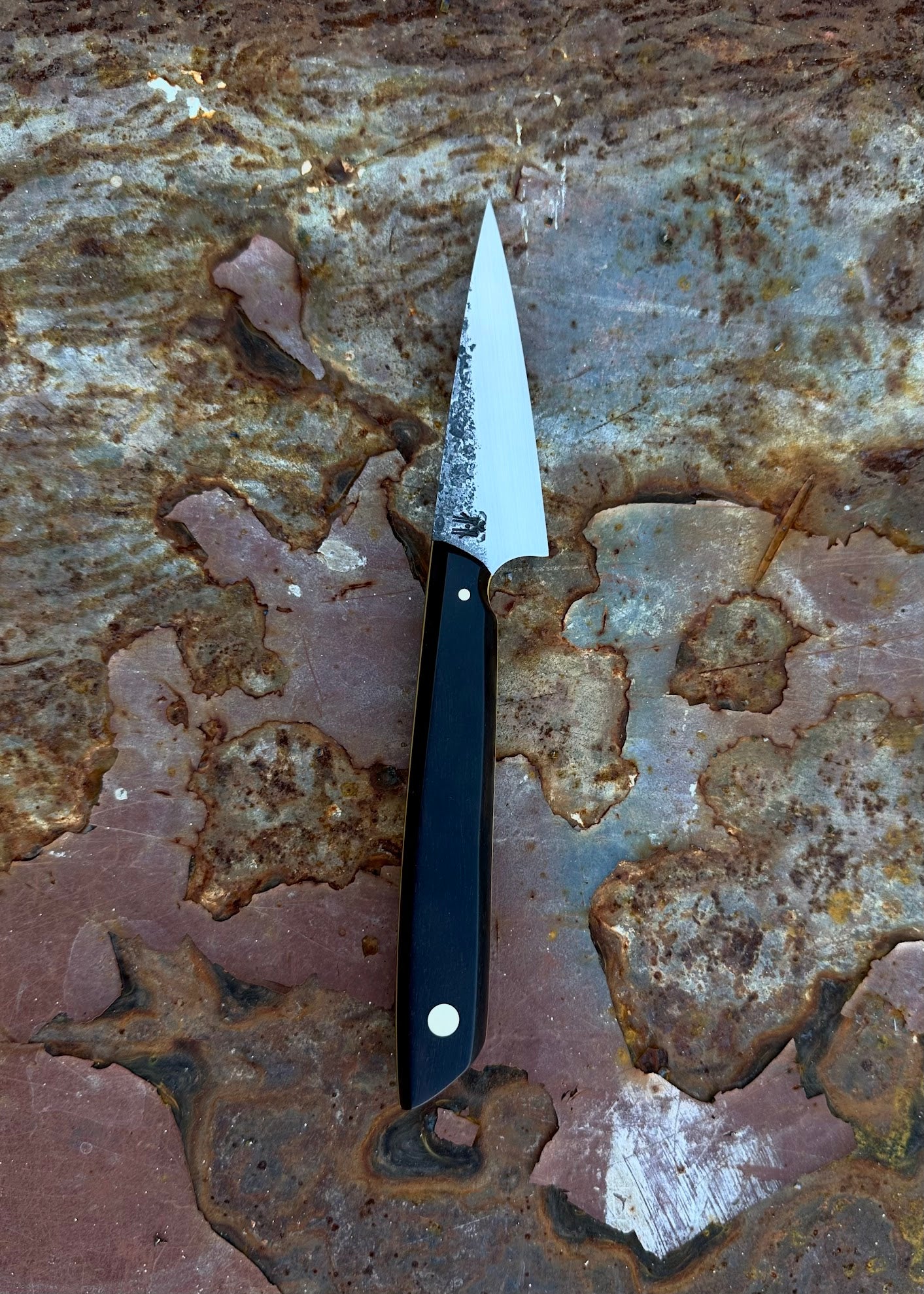 Ebony Paring Knife