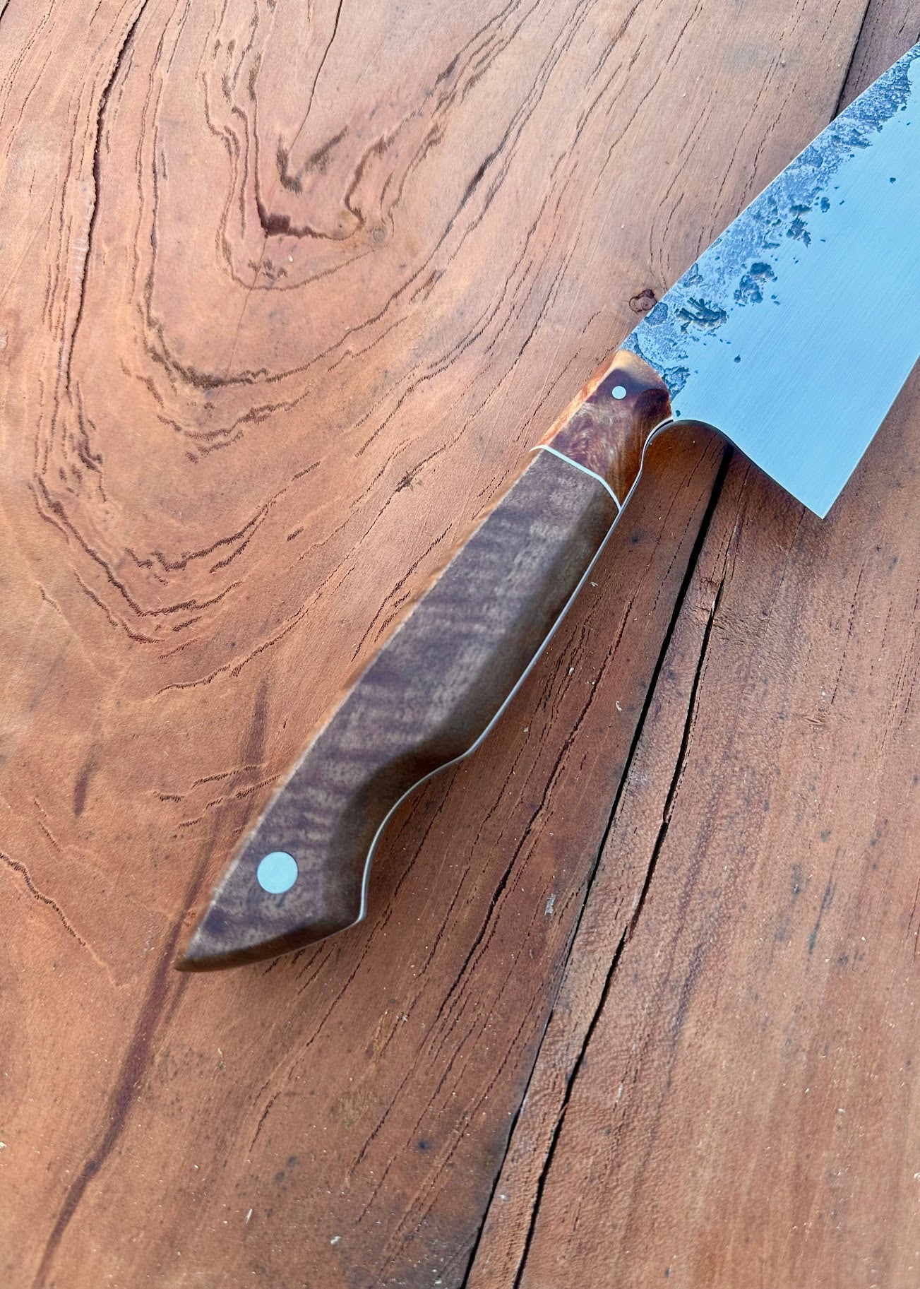 Claro Walnut Kitchen / Petty Knife