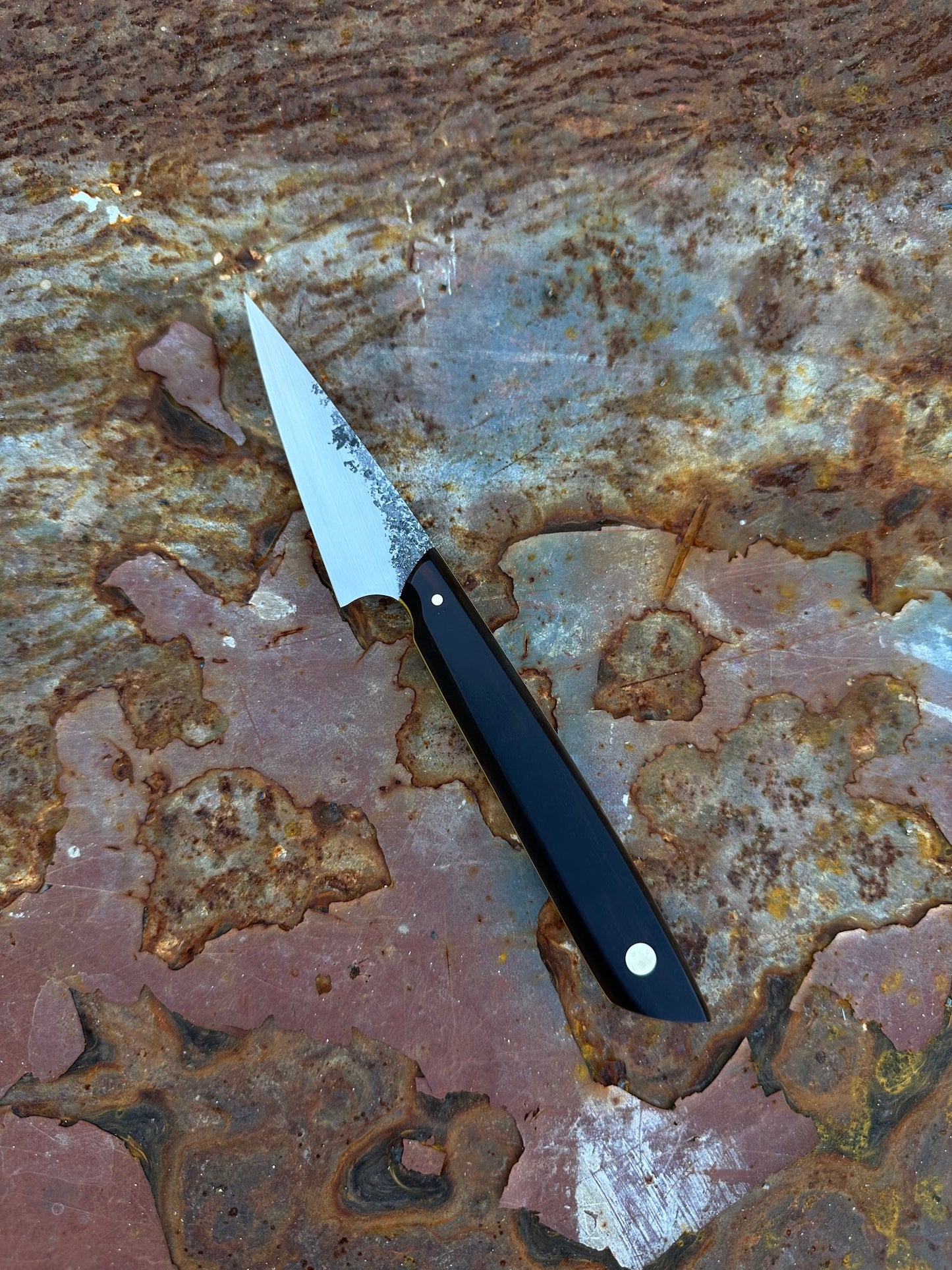 Ebony Paring Knife