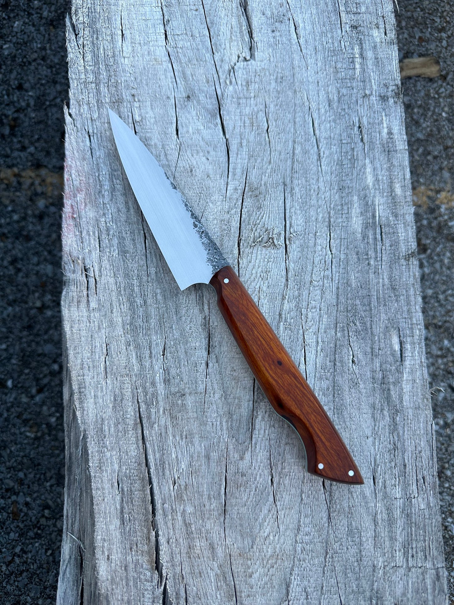 Desert Ironwood Paring Knife