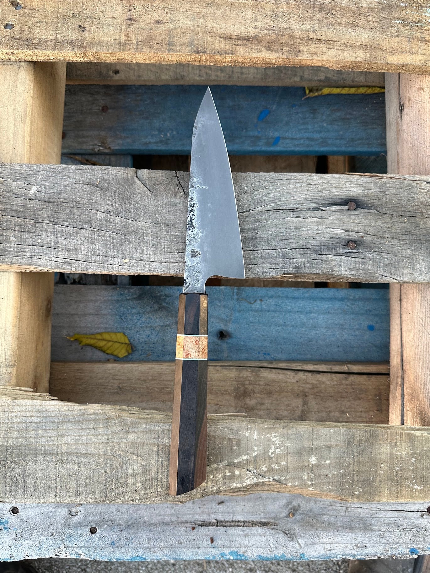 Kitchen / Petty Knife